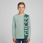 Boys Green Logo Long Sleeve Top, 2, hi-res