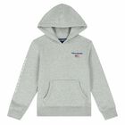 Boys Grey Logo Hooded Top, 1, hi-res