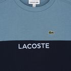 تي شيرت قطني ملون للأولاد باللون الأزرق, 1, hi-res