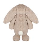 Beige Bashful Bunny Original Soft Toy ( 23CM ), 1, hi-res