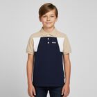 Boys Navy Blue & Beige Polo Shirt, 1, hi-res