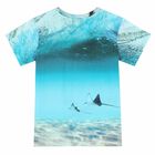 Boys Blue Sting Ray T-Shirt, 1, hi-res