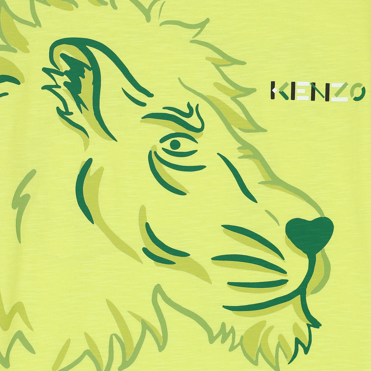 Boys Lime Lion T-Shirt, 1, hi-res image number null
