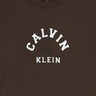 تي شيرت أولاد بالشعار باللون البني, 3, hi-res