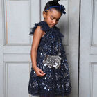 Girls Navy Blue Embellished Tulle Dress, 4, hi-res