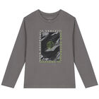 Boys Grey & Green Long Sleeve Top ( 2-Pack ), 1, hi-res