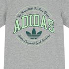 تيشيرت بالشعار باللون الرمادى, 1, hi-res