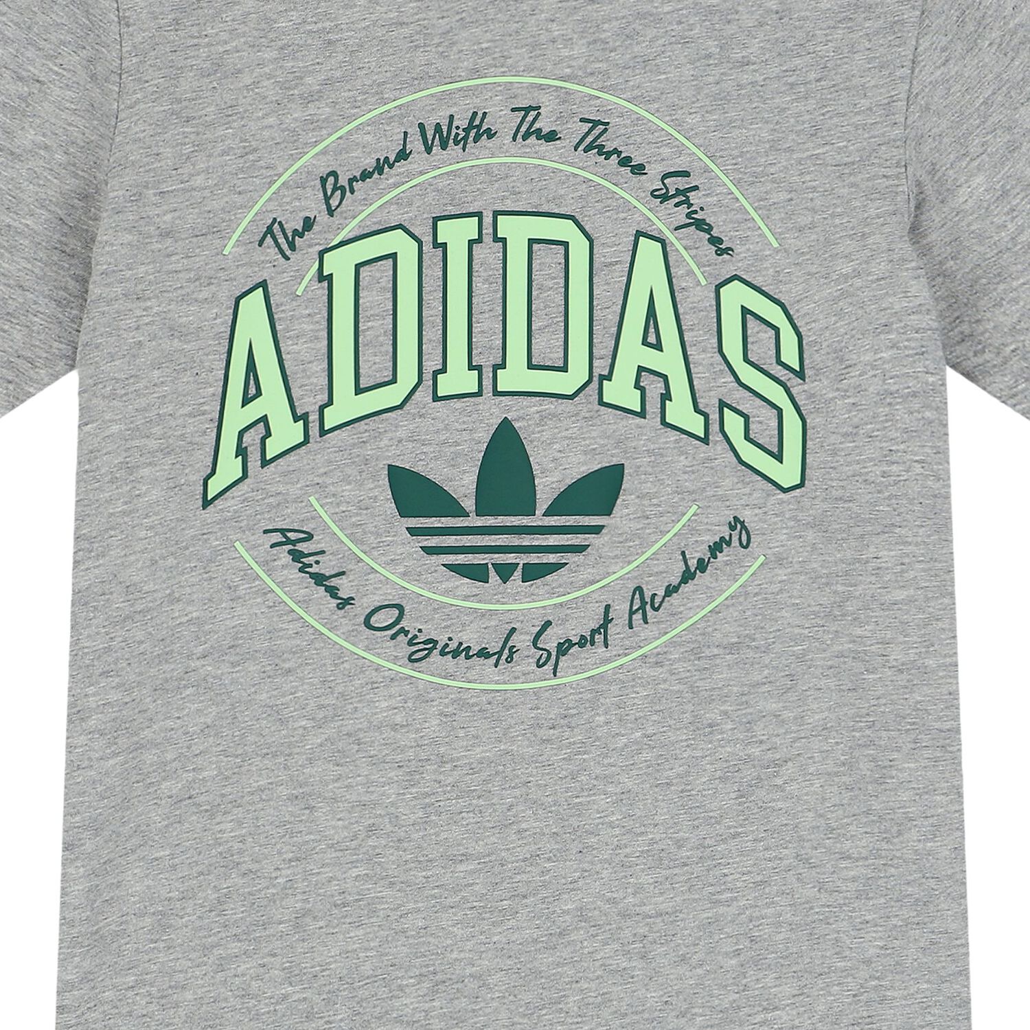 تيشيرت بالشعار باللون الرمادى, 1, hi-res