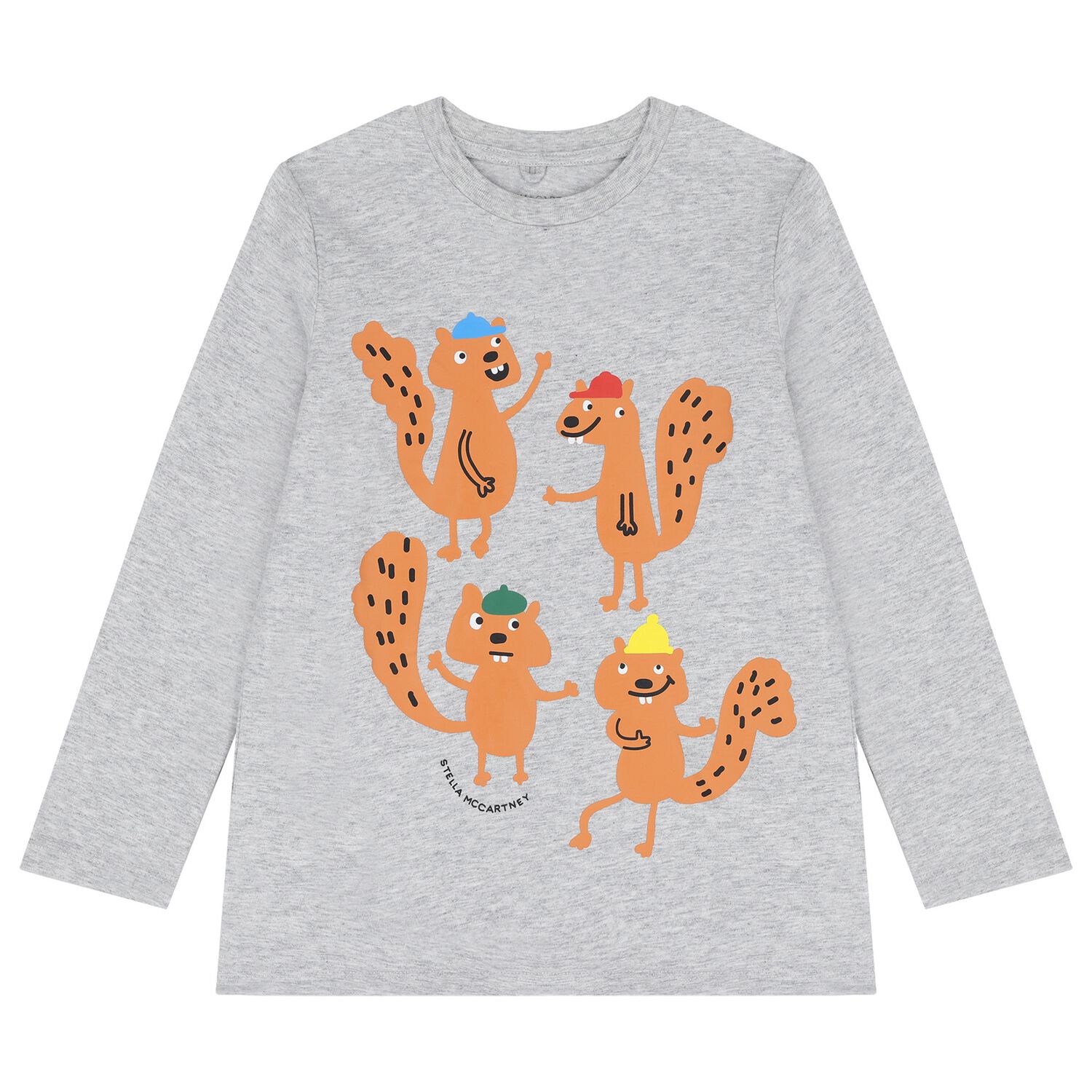 Boys Grey Squirrel Long Sleeve Top, 1, hi-res