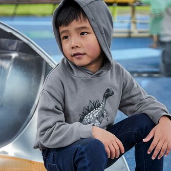 Boys Grey Dinosaur Hooded Top
