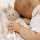 Ivory & Beige Squirrel Doudou Comforter, 1, hi-res