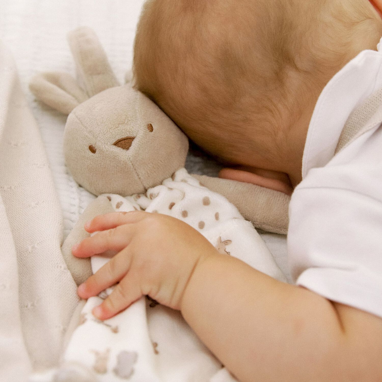 Ivory & Beige Squirrel Doudou Comforter, 1, hi-res image number null