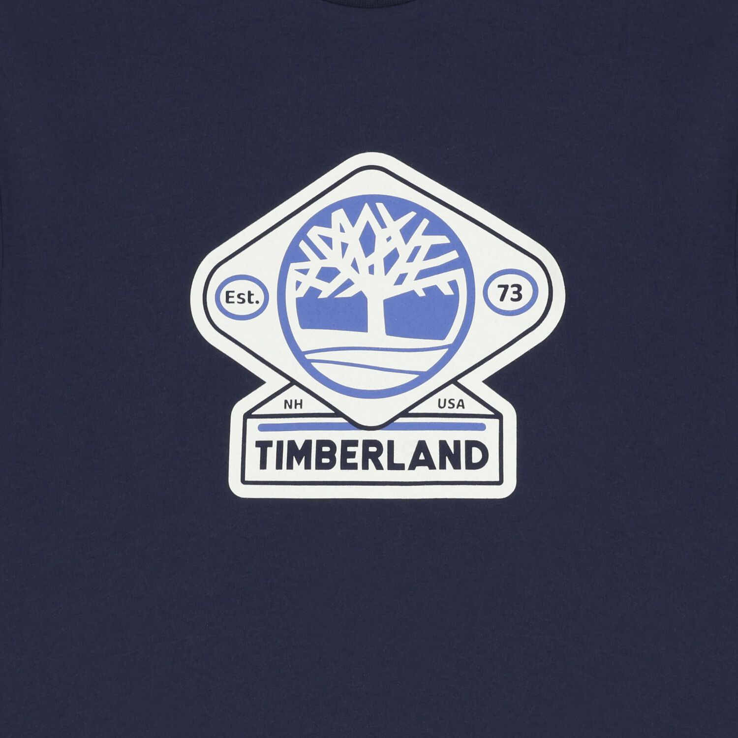 Boys Navy Blue Logo T-Shirt, 2, hi-res