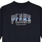 Boys Navy Blue Sweatshirt, 1, hi-res
