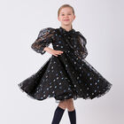 Girls Black & Blue Dot Organza Dress, 1, hi-res