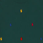 تيشيرت أولاد بالشعار باللون الاخضر, 1, hi-res