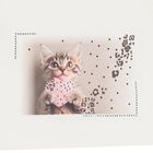 Girls Ivory Kitten Long Sleeve Top, 1, hi-res