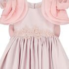 Girls Mirana Pink 3D Rose Sleeve Tulle Dress, 2, hi-res