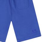 Boys Blue Logo Shorts, 1, hi-res