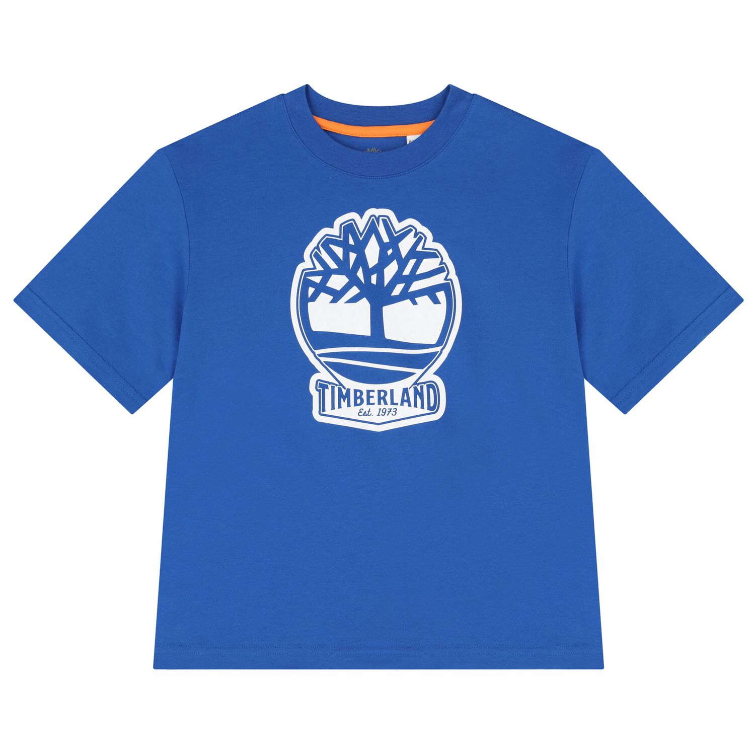 Boys Blue Logo T-Shirt, 6, hi-res image number null