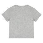 Younger Grey Teddy Bear Logo T-Shirt, 6, hi-res