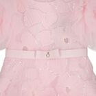 Girls Roshelle Pink Floral Applique Tulle Dress, 1, hi-res