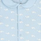 Baby Boys Blue Whale Romper Gift Set, 1, hi-res