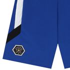Boys Blue Logo Shorts, 1, hi-res