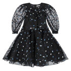 Girls Black & Blue Dot Organza Dress, 1, hi-res