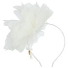 طوق شعر بنات باللون الأبيض, 1, hi-res