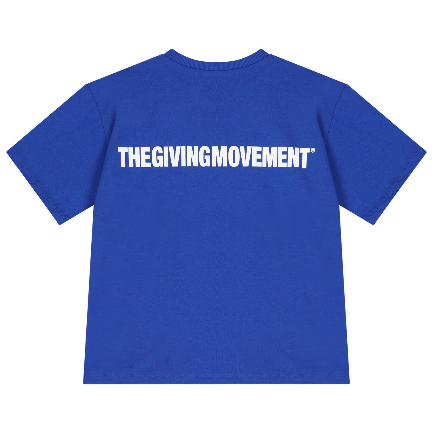 Blue Logo Oversized T- Shirt, 3, hi-res image number null