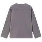 Boys Grey Dinosaur Long Sleeve Top, 2, hi-res