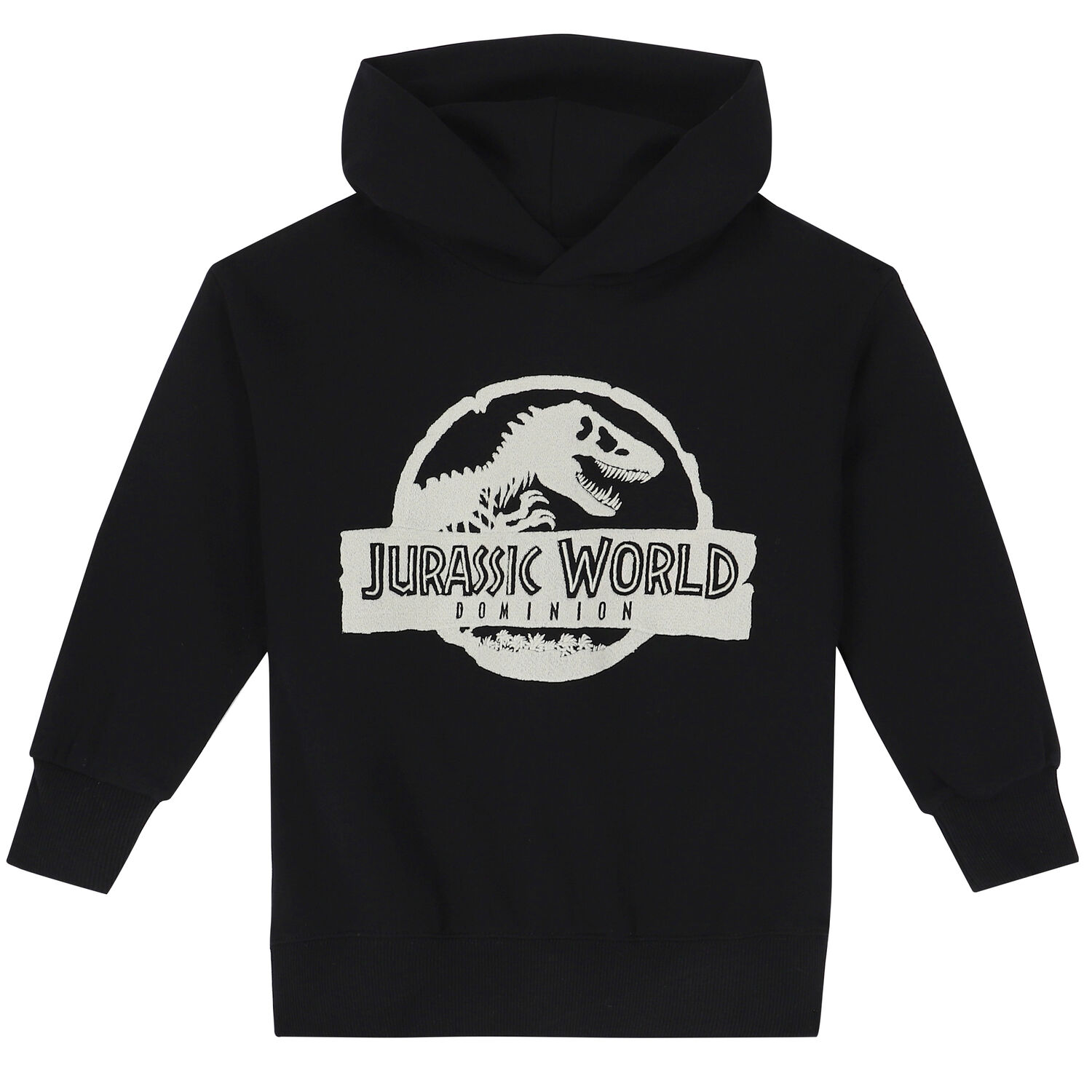 Black Embroidered Jurassic Logo Hooded Top, 1, hi-res