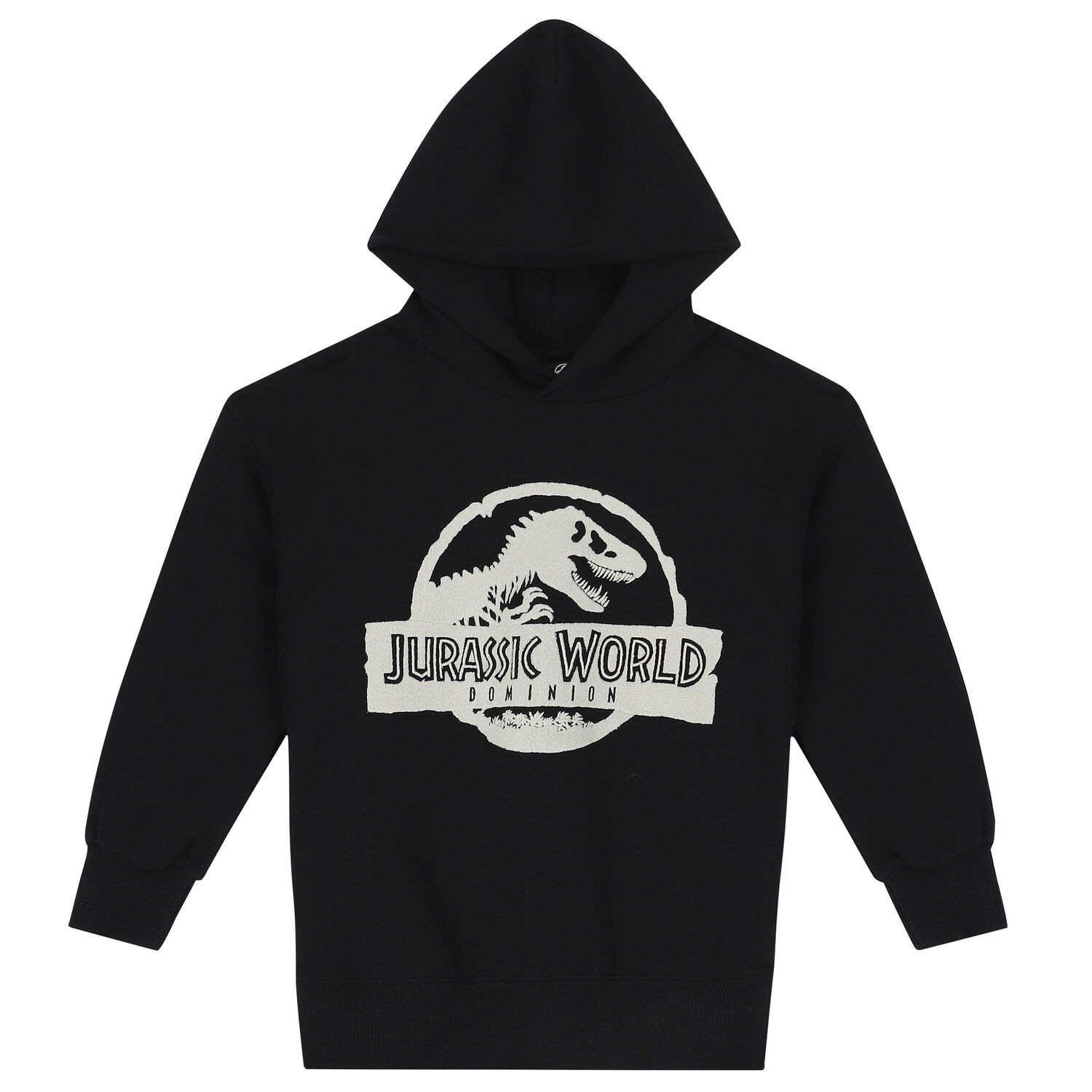 Black Embroidered Jurassic Logo Hooded Top, 1, hi-res
