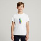 Boys White Polo T-Shirt, 1, hi-res
