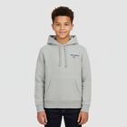 Boys Grey Logo Hooded Top, 1, hi-res