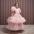Girls Roshelle Pink Floral Applique Tulle Dress, 1, hi-res