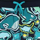 Boys Multi-Coloured Whale Shorts, 1, hi-res