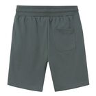 Boys Khaki Green Shorts, 4, hi-res