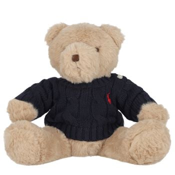 Boys Beige & Navy Blue Teddy Bear Soft Toy