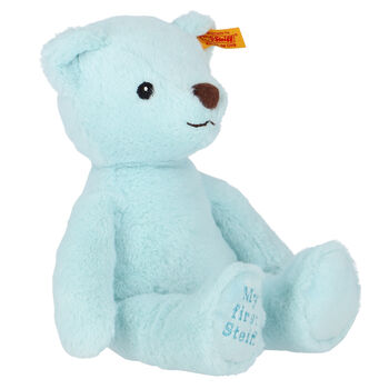 Blue Teddy Bear Soft Toy (26cm)