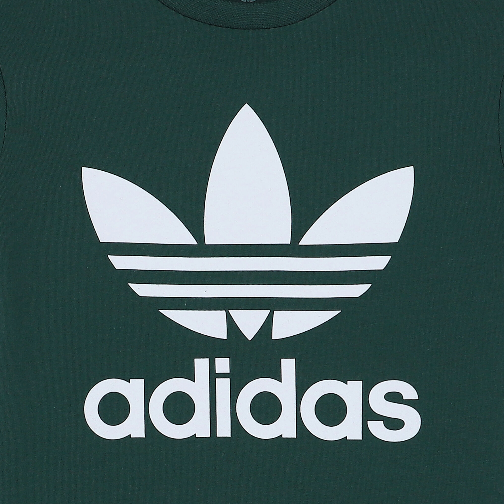 Adidas green trefoil t-shirt clearance