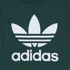 Green Trefoil Logo T-Shirt, 6, hi-res