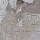 Boys Grey & Beige Logo Polo Shirt, 2, hi-res