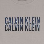 Boys Grey Logo T-Shirt, 2, hi-res