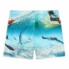 Boys Blue Sting Ray Swim Shorts, 1, hi-res