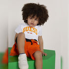 شورت أولاد بالشعار باللون الرمادى والكحلى, 3, hi-res