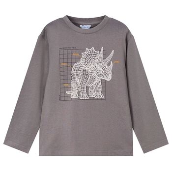 Boys Grey Dinosaur Long Sleeve Top