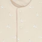 Ivory & Beige Baby Tracksuit Set ( 3 Piece ), 2, hi-res