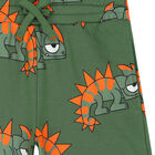 Boys Green Chameleon Shorts, 1, hi-res